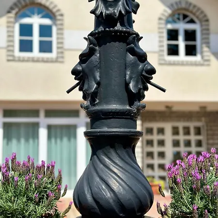 éllő Veszprém